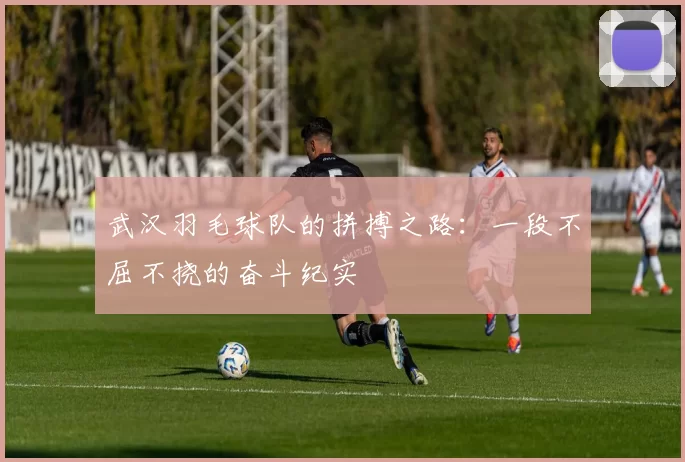 武汉羽毛球队的拼搏之路：一段不屈不挠的奋斗纪实