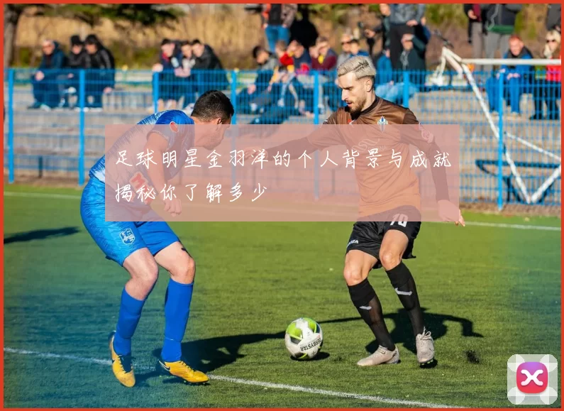 足球明星金羽洋的个人背景与成就揭秘你了解多少