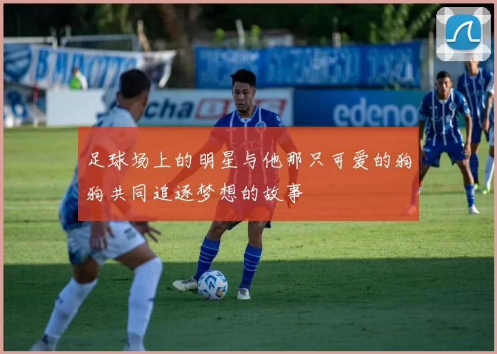 足球场上的明星与他那只可爱的狗狗共同追逐梦想的故事