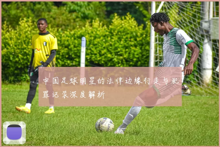 中国足球明星的法律边缘行走与犯罪记录深度解析