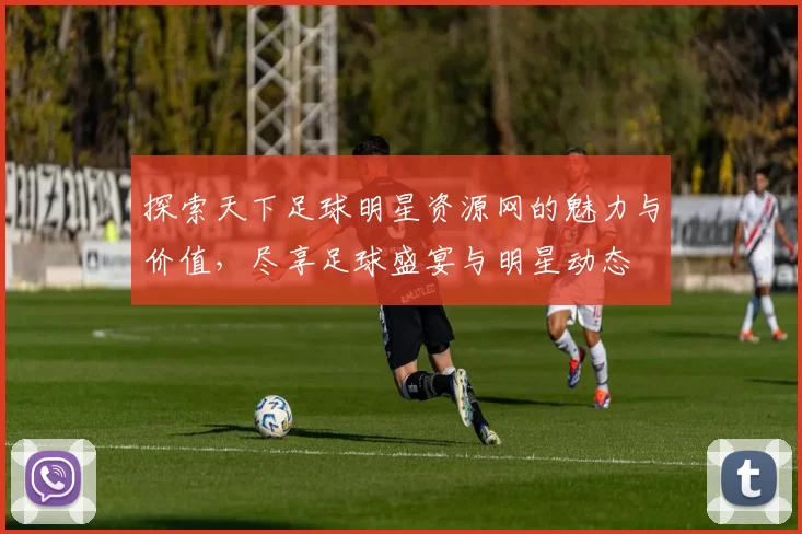 探索天下足球明星资源网的魅力与价值，尽享足球盛宴与明星动态