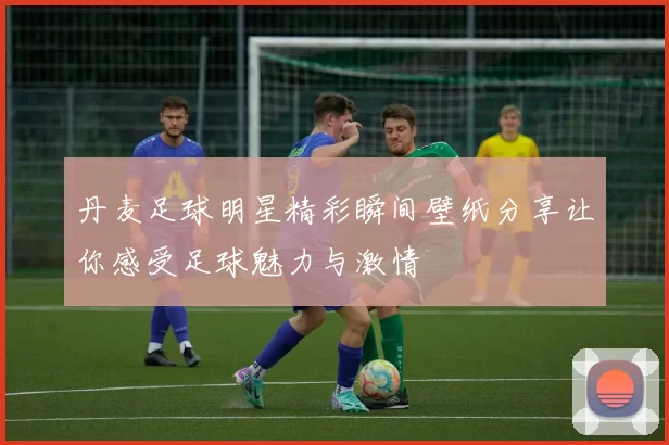 丹麦足球明星精彩瞬间壁纸分享让你感受足球魅力与激情