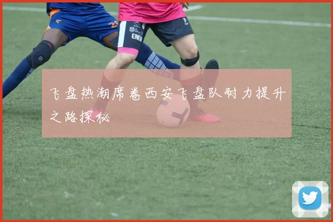 飞盘热潮席卷西安飞盘队耐力提升之路探秘