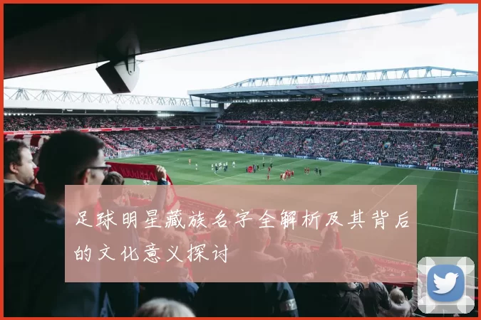 足球明星藏族名字全解析及其背后的文化意义探讨