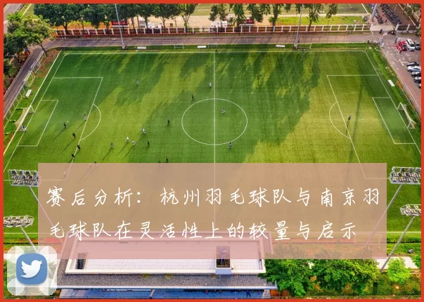 赛后分析：杭州羽毛球队与南京羽毛球队在灵活性上的较量与启示