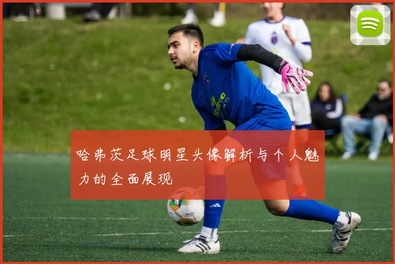 哈弗茨足球明星头像解析与个人魅力的全面展现