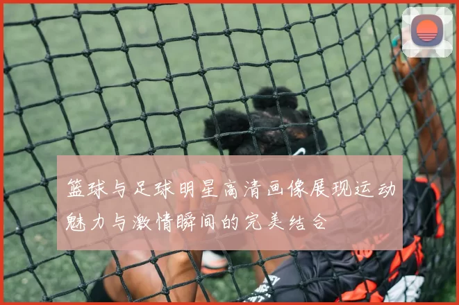 篮球与足球明星高清画像展现运动魅力与激情瞬间的完美结合