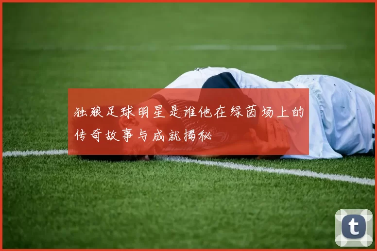 独狼足球明星是谁他在绿茵场上的传奇故事与成就揭秘