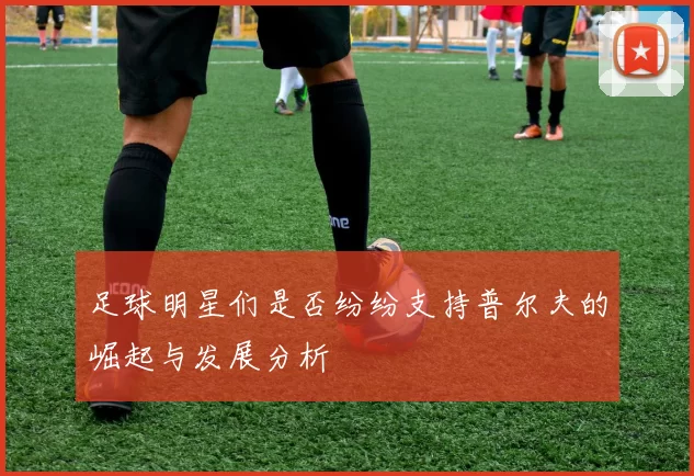 足球明星们是否纷纷支持普尔夫的崛起与发展分析
