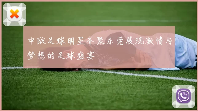 中欧足球明星齐聚东莞展现激情与梦想的足球盛宴