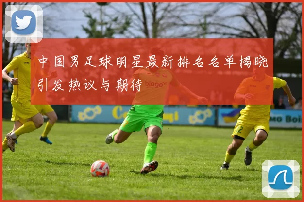 中国男足球明星最新排名名单揭晓引发热议与期待
