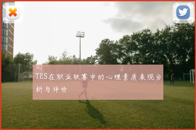 TES在职业联赛中的心理素质表现分析与评价