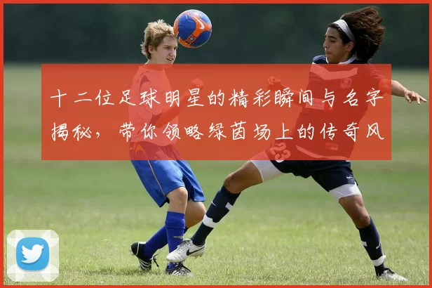 十二位足球明星的精彩瞬间与名字揭秘，带你领略绿茵场上的传奇风采