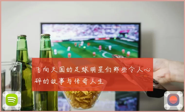 飞向天国的足球明星们那些令人心碎的故事与传奇人生