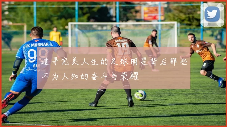 追寻完美人生的足球明星背后那些不为人知的奋斗与荣耀