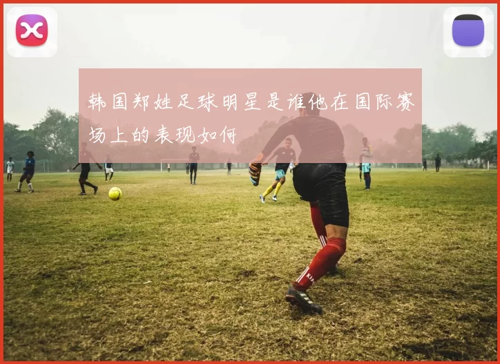 韩国郑姓足球明星是谁他在国际赛场上的表现如何