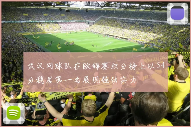 武汉网球队在欧锦赛积分榜上以54分稳居第一名展现强劲实力