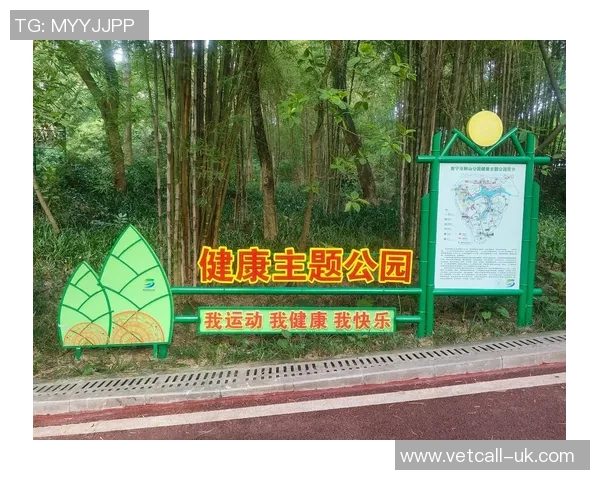以体育精神为核心推动全民健身热潮，促进健康中国建设的战略意义