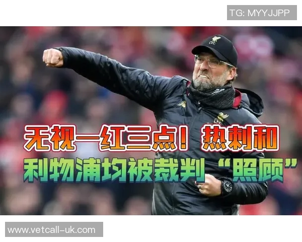 热刺与罗奇代尔比赛裁判表现分析及争议判罚回顾