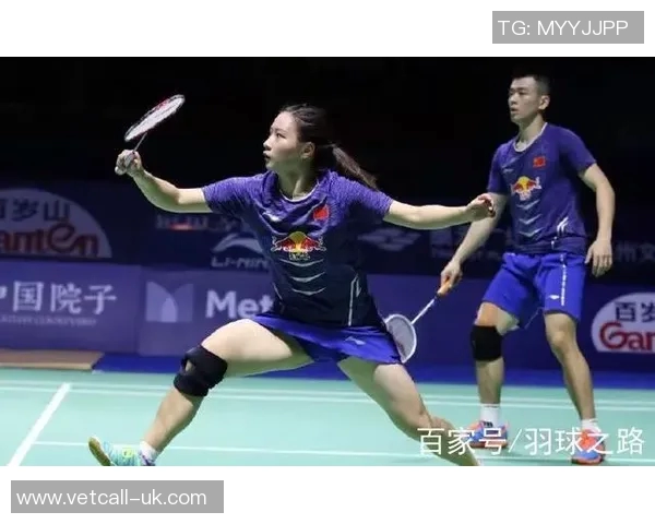 成都羽毛球队的战术解析与控制技巧深度剖析