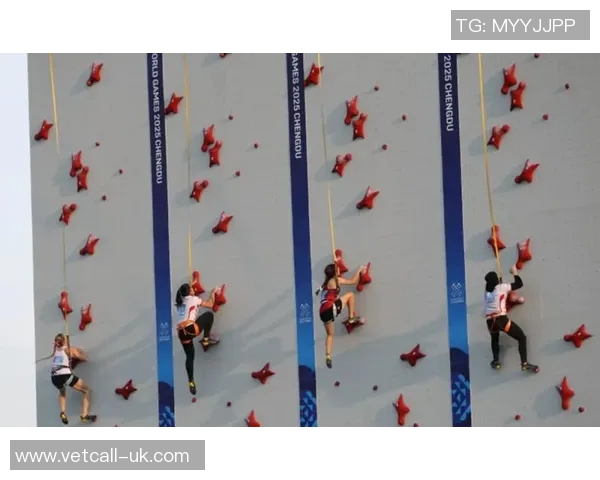 成都攀岩队边路渗透战术分析与成效评估探讨