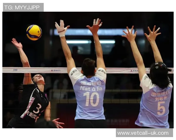 排球技术排行榜揭晓上海排球队荣获第六名成就辉煌