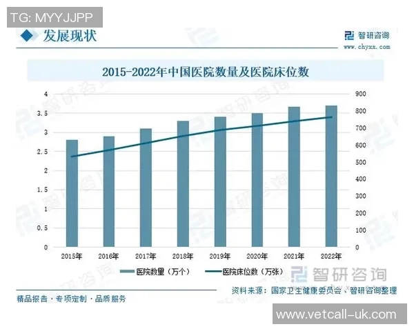 深入探讨杭州排球队实力表现的数据分析与未来发展趋势