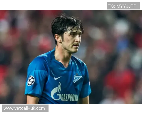 泽尼特欧冠之路：俄罗斯劲旅的征程