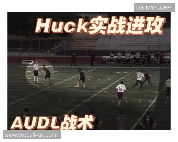 上海飞盘队的灵活性探讨与战术创新分析