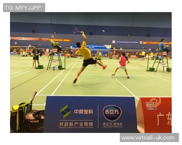 北京羽毛球队战术揭秘：包夹策略如何助力夺冠之路