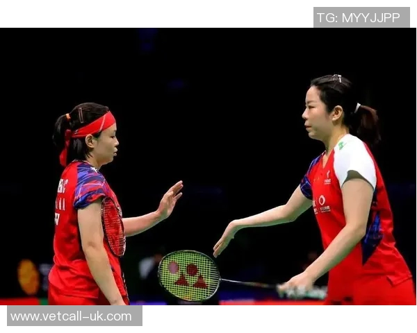 南京羽毛球队运营分析与发展策略探讨：得失经验分享与未来展望