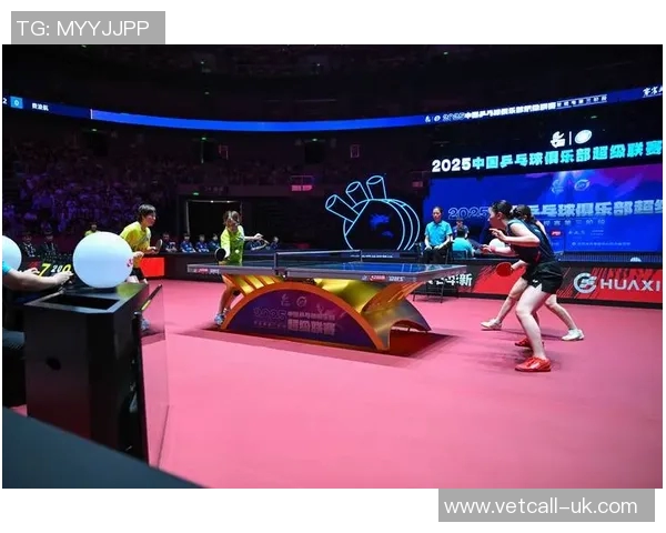 成都乒乓球队状态深度解析及各队员表现对比分析