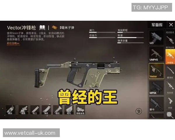 最新和平精英个人能力排行榜揭晓LNG战队表现卓越位居第一