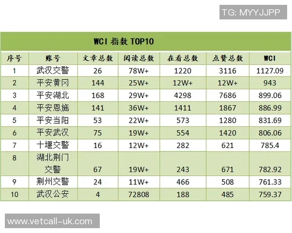 武汉飞盘队强势崛起最新飞盘意识TOP10榜单揭晓