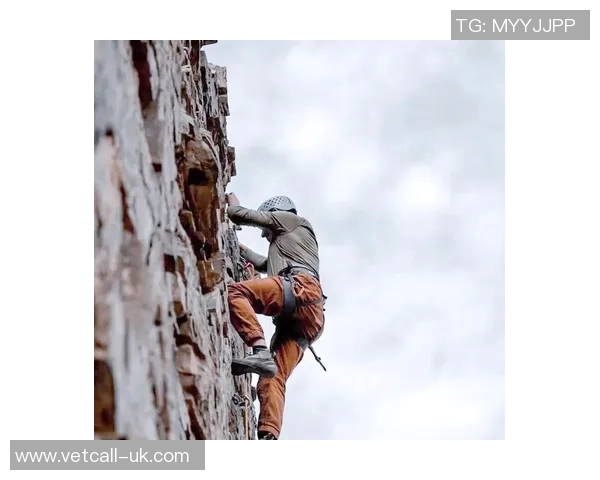 深圳攀岩队意识对比深度解析与训练策略探讨