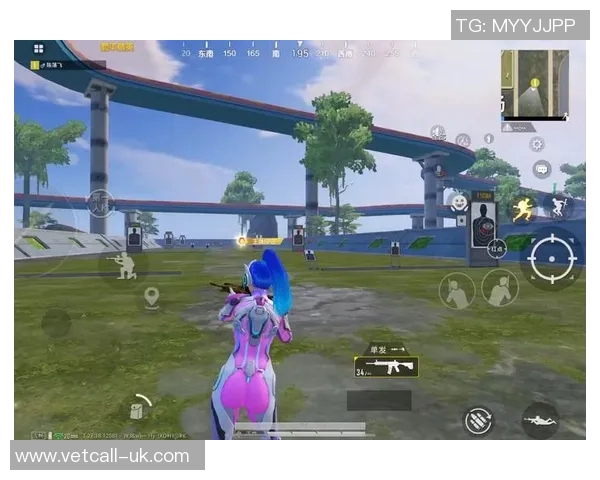 科学和平精英训练方法的创新与实践探索