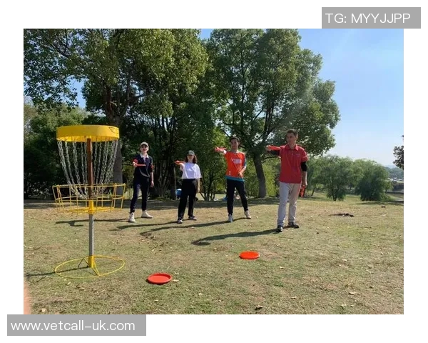 飞盘盛宴：深入解析深圳飞盘队的默契配合与战术策略