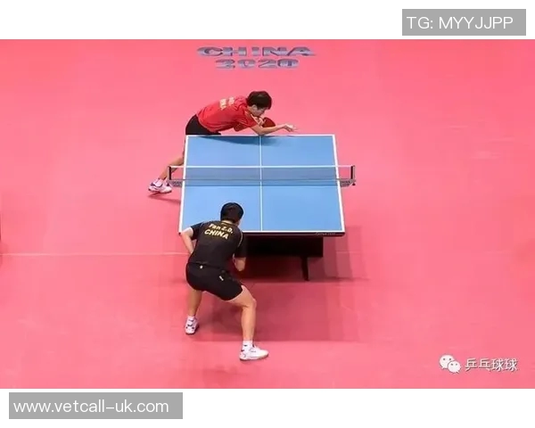 乒乓球战术解析：深入探讨北京乒乓球队的阵地战体系与实战应用