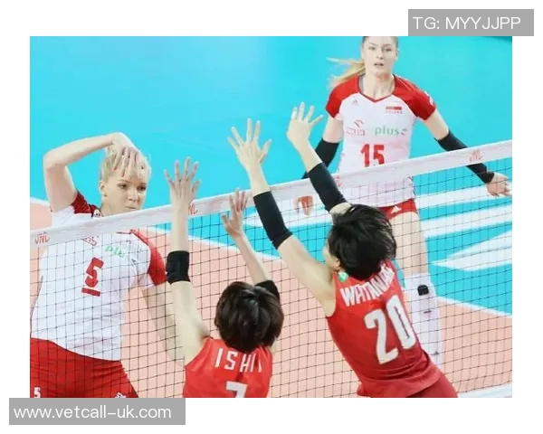 南京排球队灵活性探讨：提升竞技水平的关键因素与策略分析