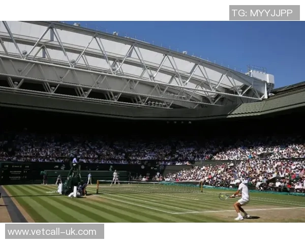 南京网球队的崛起与发展分析聚焦其背后的力量与未来潜力探讨