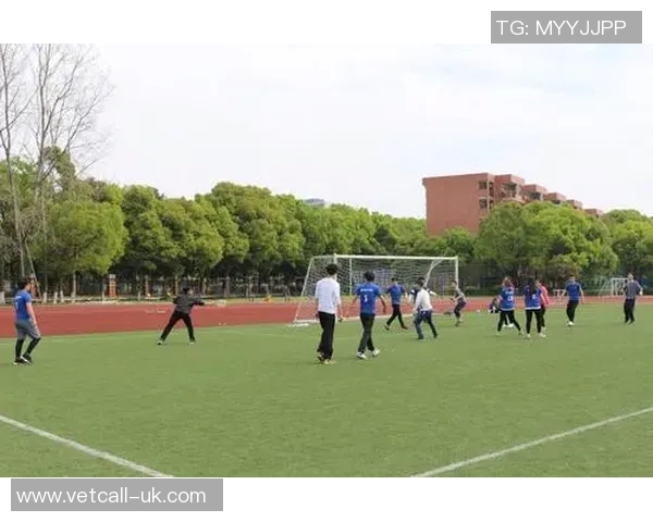 西安飞盘队速度表现分析与提升策略探讨