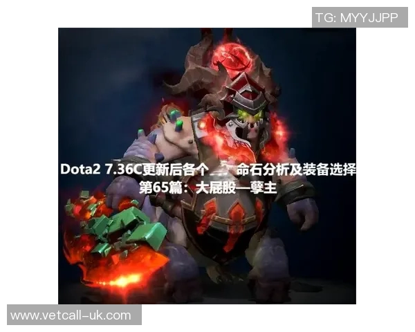 深入探讨张芳的DOTA2成功秘诀与未来发展方向