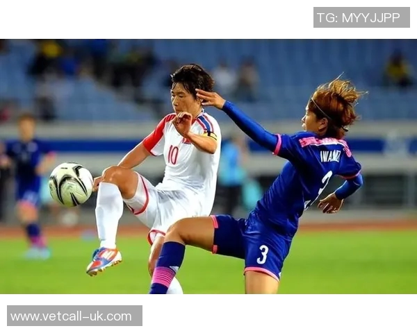 2010世界杯日本队精彩对决回顾与分析，重温那场难忘的比赛瞬间